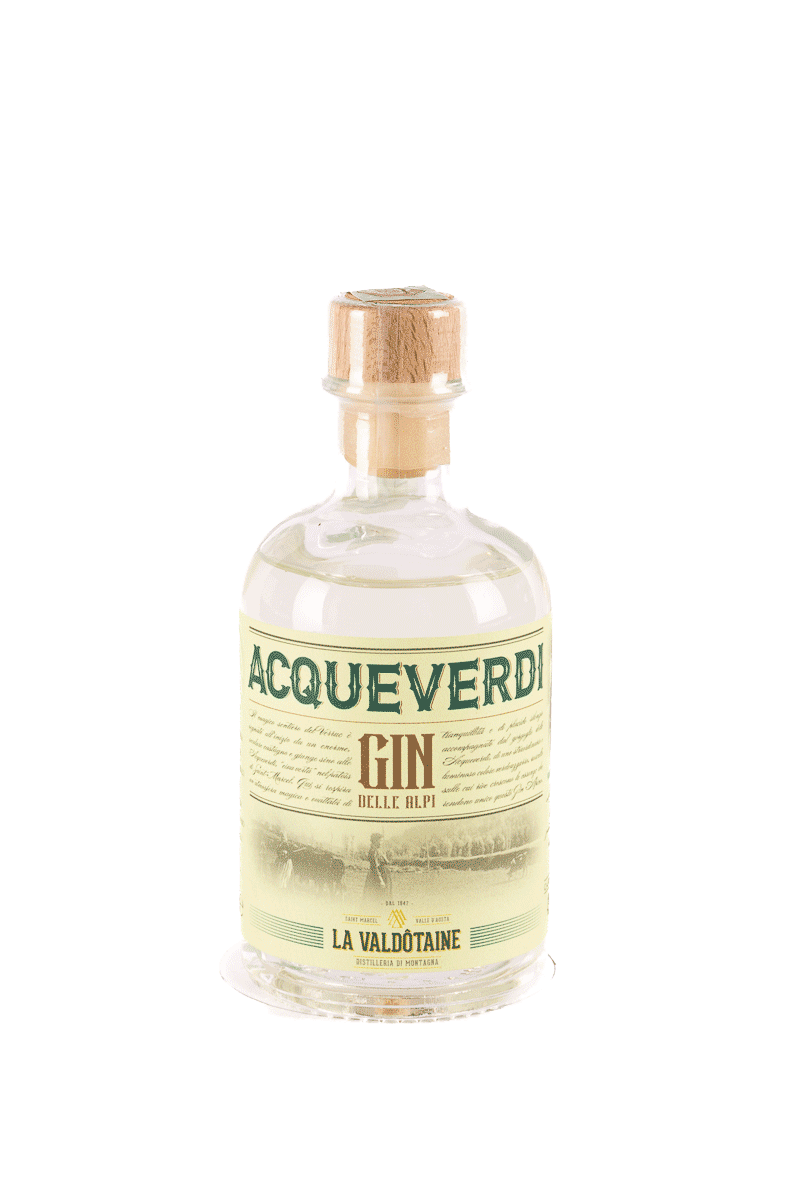 Gin of the Alps - Valdoteine - 200ml