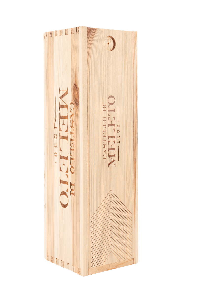Parabuio Merlot - Castello di Meleto - Tuscany - 2016
