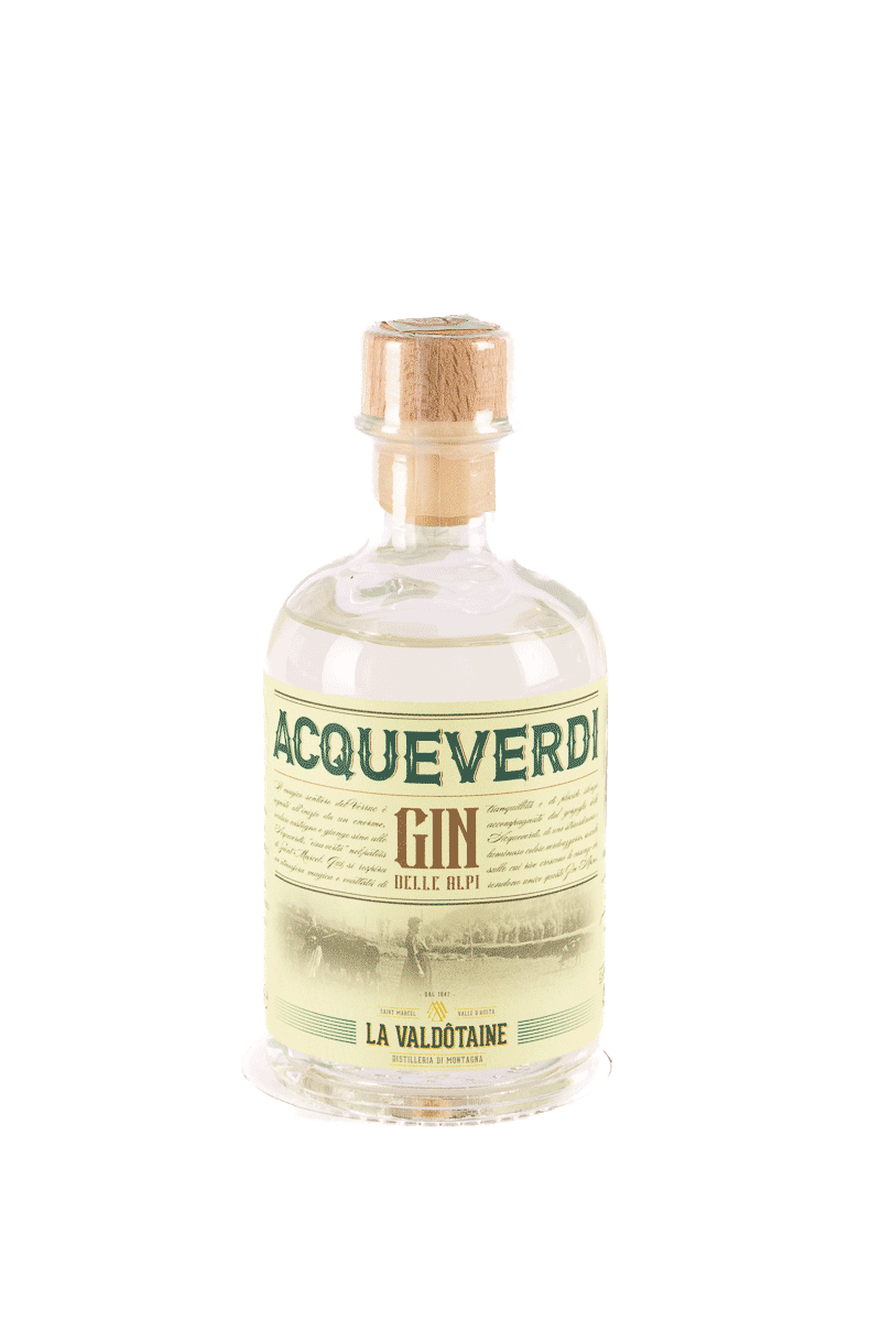 Gin of the Alps - Valdoteine ​​- 200ml