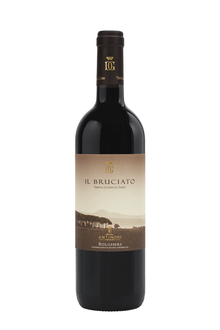 Il Bruciato MAGNUM - Antinori - Toscana - 2019