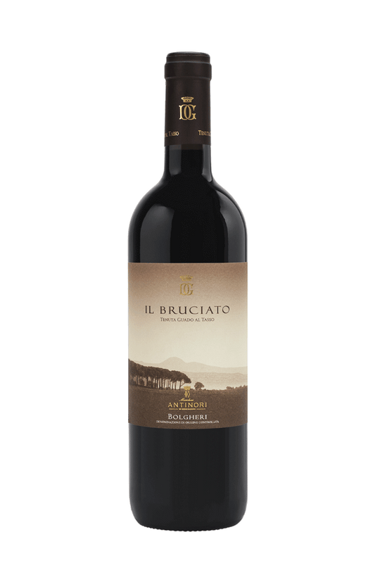 Il Bruciato MAGNUM - Antinori - Toscana - 2019